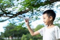 Cute Asian child playing airplane in the park outdoors Happy Asian boy holding a plane runs in a meadow with sunset Royalty Free Stock Photo