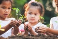 Cute asian children planting young tree in the black soil together in the garden