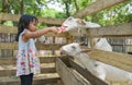 Cute Asian girl bottle-feed goat