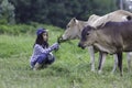 A cute Asian girl is feeding her cows