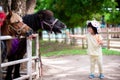 Cute Asian girl touring the zoo. Kid was feeding a carrot to a horse standing in a white stable. Royalty Free Stock Photo