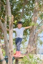 Cute Asian kindergarten boy child having fun facing challenge, trying to climb on the tree outdoor Royalty Free Stock Photo