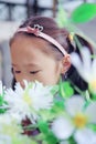 Cute Asian little beautiful girl smell flower Royalty Free Stock Photo