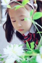 Cute Asian little beautiful girl smell flower Royalty Free Stock Photo