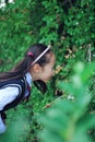 Cute Asian little beautiful girl smell flower Royalty Free Stock Photo