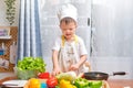 Cute Asian little boy child wearing chef hat and apron having fun preparing, cooking healthy food in kitchen, Fun indoor Royalty Free Stock Photo