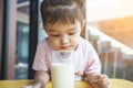 Asian little child girl drinking milk and eating snack in breakfast time Royalty Free Stock Photo