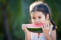 Cute asian little child girl eating watermelon fresh fruit Royalty Free Stock Photo