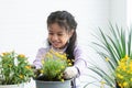 Cute Asian little child girl in gloves and apron, looking at flower with smiling face while having fun planting tree and change Royalty Free Stock Photo