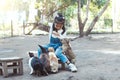 Cute asian little child girl feeding rabbit Royalty Free Stock Photo