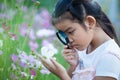 Cute asian little child girl looking beautiful flower Royalty Free Stock Photo