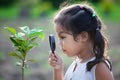 Cute asian little child girl looking through a magnifying glass Royalty Free Stock Photo