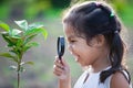 Cute asian little child girl looking through a magnifying glass Royalty Free Stock Photo