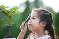 Cute asian little child girl looking through a magnifying glass Royalty Free Stock Photo