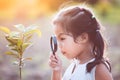 Cute asian little child girl looking through a magnifying glass Royalty Free Stock Photo