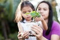 Cute asian little child girl and parent holding young tree