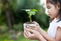 Cute asian little child girl and parent holding young tree Royalty Free Stock Photo