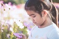 Cute asian little child girl smelling cosmos flower Royalty Free Stock Photo