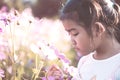 Cute asian little child girl smelling cosmos flower Royalty Free Stock Photo