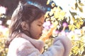 Cute asian little child girl smelling flower in the garden Royalty Free Stock Photo