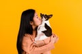 Asian woman with his chihuahua chihuahua dog lover The happiness of a girl who loves his dog The love of people and cute dogs