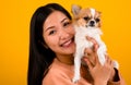 Asian woman with his chihuahua chihuahua dog lover The happiness of a girl who loves his dog The love of people and cute dogs