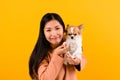 Asian woman with his chihuahua chihuahua dog lover The happiness of a girl who loves his dog The love of people and cute dogs