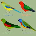 Cute Australia parrot bird vector illustration set, Blue-winged, Australian King Parrot, Red-winged, Scarlet-chested Parrot