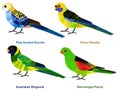 Cute Australia parrots, Rosella bird vector illustration set, Pale-headed, Green Rosella, Australian Ringneck, Red-winged Parrot