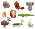 Cute Australian Animals and Endemic Fauna with Echidna and Koala Vector Set Royalty Free Stock Photo