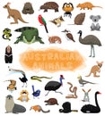 Cute Australian Animals Set Cartoon Vector