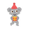 Cute Australian koala wombat with big eyes in a hat with a gift smiles and dances. New Year flat vector cartoon Royalty Free Stock Photo