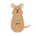 A Cute Australian quokka. Animal character design