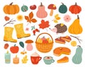 Cute autumn elements. Fall pumpkin, hedgehog november forest leaves. Thanksgiving and harvest season, cozy decoration