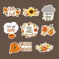 Cute Autumn Floral Sticker Collection Royalty Free Stock Photo