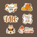 Cute Autumn Floral Sticker Collection Royalty Free Stock Photo