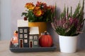 Cute autumn hygge home decor arrangement with pink heather and chrysanthemum flowers.