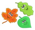 Cute autumn leaves