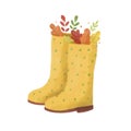 Cute autumn rain boots with autumn leaves Royalty Free Stock Photo