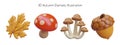 Cute autumn realistic elements on white background. Maple leaf, toadstool, honey agaric, acorn