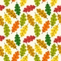 Cute autumn seamless pattern with rustic hand drawn nature elements as leaves in traditional autumn colors Royalty Free Stock Photo
