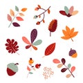 Cute autumn set of different berries, leaves and plants. Seasonal fall blueberry, maple, oak leaves, chestnut, barberry Royalty Free Stock Photo