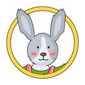 Cute avatar of bunny or rabbit in circle, funny wild animal, portrait of adorable pet with long ears