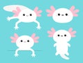 Cute axolotl set. Mexican salamander. White axolotyl. Ambysoma mexicanum. Cartoon kawaii funny smiling baby character. Water