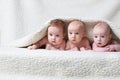 Cute babies on light background