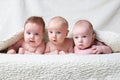 Cute babies on light background