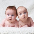 Cute babies on light background