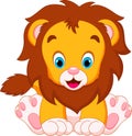 Cute babies lion Royalty Free Stock Photo