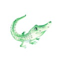 Cute baby alligator. Isolated on white background. Watercolor hand drawn illustration. Perfect for kids cards and Royalty Free Stock Photo