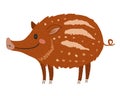 Cute baby animal forest piglet, vector wild boar Royalty Free Stock Photo